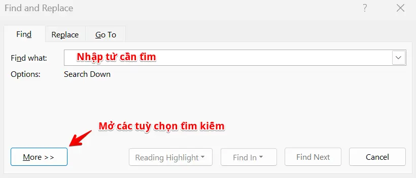 công cụ find and replace trong word - option